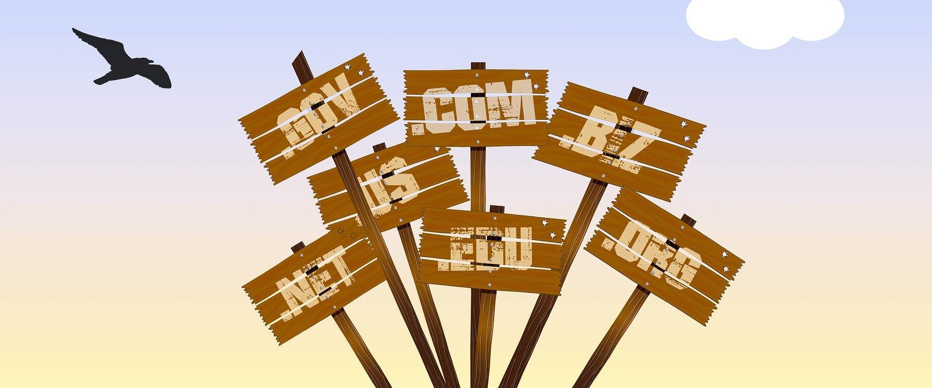 Can You Host Your Own Website Domain? A Comprehensive Guide