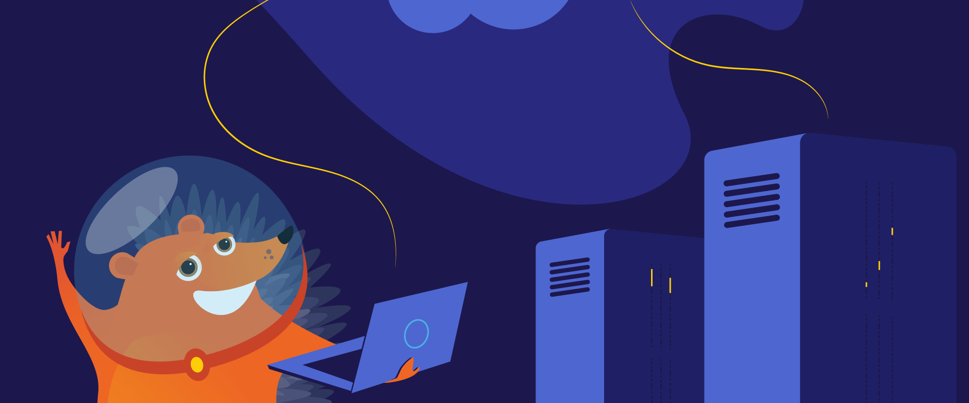 Who is the Best Website Host for Your Needs?