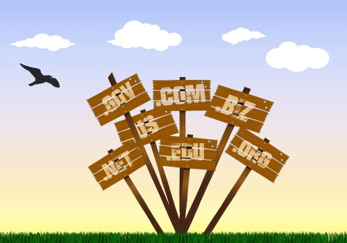 Can You Host Your Own Website Domain? A Comprehensive Guide